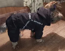 Hoodies Coat Clothing Puppy-Outfit Pet-Dog-Jacket HOOPET Dogs Chihuahua Winter Warm 