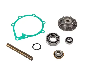 

The circus repair kit. Pumps 31/41, 32/42, 43,44 VP 876794