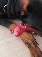 Cuerda para perro de compañía de algodón para masticar, juguete para mascotas con forma de bola de hueso, nudos, limpieza de dientes para perros pequeños, medianos y grandes, 5 tipos