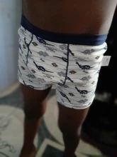 Bóxer de algodón para niños, ropa interior de 2 a 14 años, Diseño de dinosaurio de elefante, bragas suaves, lote de 2 uds., ZL89