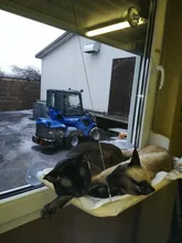 Camas colgantes para gatos, cómodas hamaca con soporte para ventana para mascotas, estante para mascotas, suministros de asientos, rodamiento desmontable, 20kg