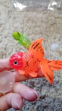 Ornament Fish-Tank-Jellyfish Artificial-Aquarium Goldfish for Glow-In-The-Dark