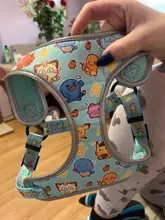 personalized Reflective Dog Cat Harness Vest Pet Adjustable Walking Leash Set for Puppy