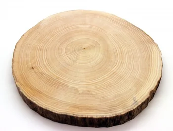 

Slice of Linden Wood (25-27 cm)
