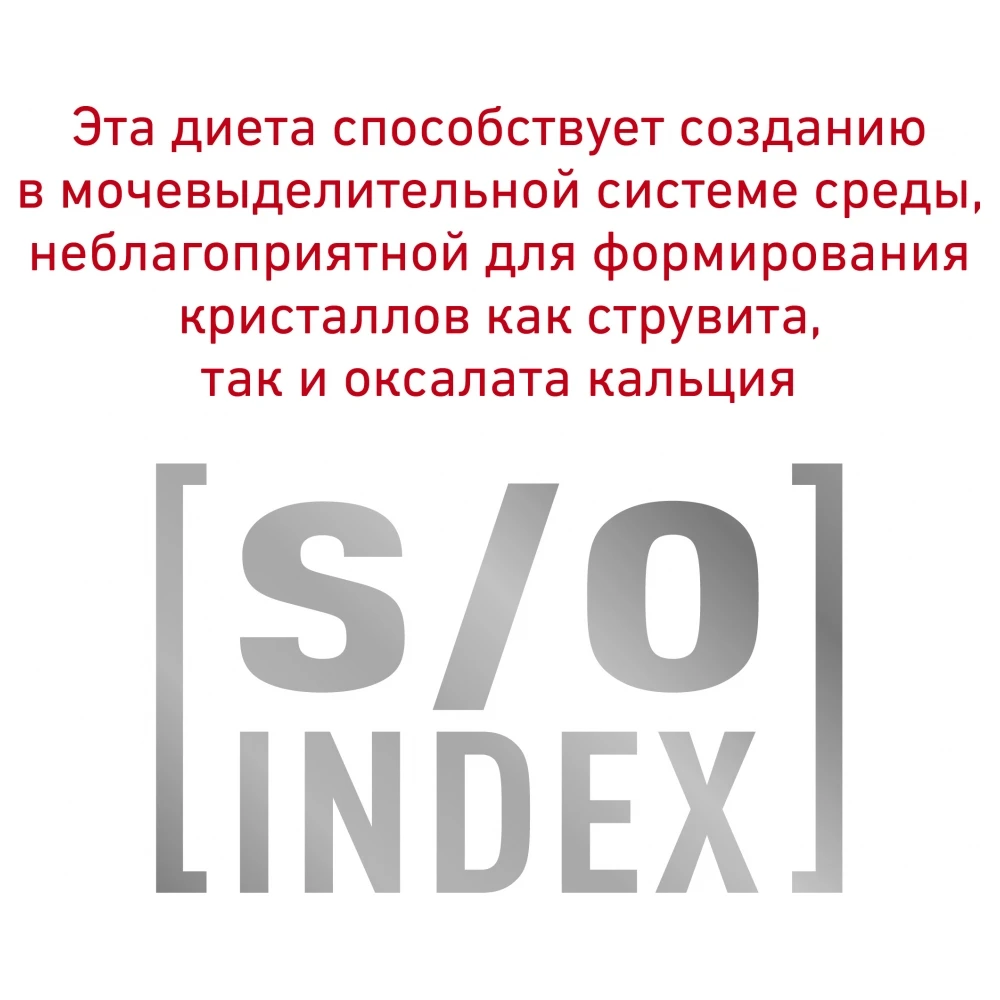 royal hepatic feline