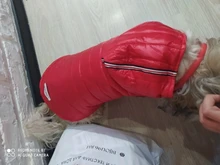 Coat Puppy Clothing Pet-Dog-Jacket Dogs Chihuahua Yorkshire Hoodies Outfit Small Winter