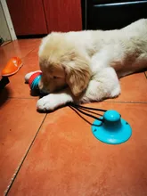 Toy Toothbrush-Brush Dog-Toy Silicon-Suction-Cup Dogs Tooth-Cleaning Pet Push-Ball Tug