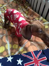 Sweater Bulldog-Outfit Chihuahua-Coat Knitted French Winter Dogs Warm for Small Pug-Clothing