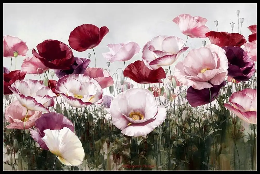 

Royal Poppy - Counted Cross Stitch Kits - DIY Handmade Needlework for Embroidery 14 ct Cross Stitch Sets DMC Color