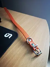 Collar de piel sintética con hebilla para el cuello, ajustable, Color puro