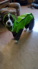 Mono impermeable para perro mascota, ropa impermeable para exteriores, mono con capucha para perros pequeños y grandes, capa impermeable, Bulldog francés
