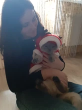 Christmas Dog Clothes Small Dogs Santa Costume for Pug Chihuahua Yorkshire Pet Cat Clothing