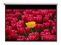 

Screen 16:9 2656x1494mm projection screen 3,05 m (120 ")