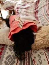 Coat Dress Teddy Poodle-Clothes Puppy Small-Pet Dog Winter Autumn with Letter Bowknot