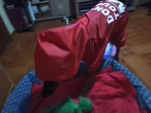 Jacket Rain-Coat Labrador Alaska Puppy-Doberman Waterproof Dogs Large Medium Husky TLC02