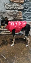 Autumn Winter Clothes For Dogs Thicken Warm Puppy Pet Cat Coats Waterproof Dog Jacket