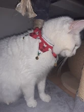 Grooming-Accessories Towel Scarf Necklace Collars Decor Cat Dogs Saliva Adjustable Plush