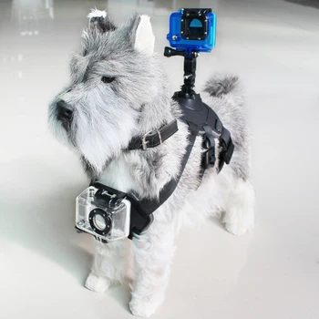 

Pet Harness with Support for Sports Camera KSIX Black