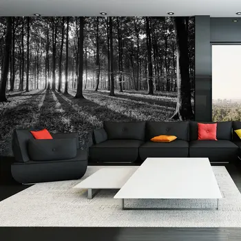 

Wall mural-The Light in the Forest - 350x245 cm