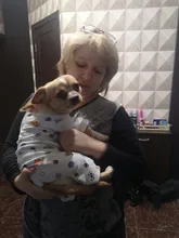 Dogs-Pajamas Clothing Shirt Puppy-Jumpsuit Pomeranian Chihuahua Dog-Coat Pet-Dogs Small