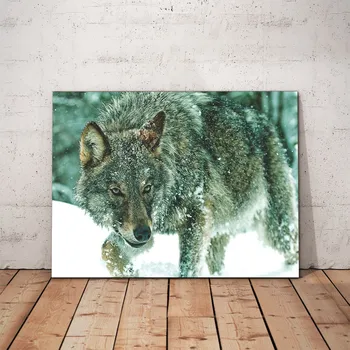 

Gray wolf-Decorative Metal Poster