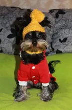 Halloween-Costume Christmas-Dog Hoodies Dogs-Coat Small Chihuahua Winter for Cat