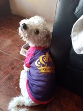 Camiseta suave de verano para perro y gato, ropa para perros pequeños, Chaleco de dibujos animados para suministros para Mascotas y Cachorros, camiseta suave