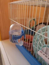 Water-Drinking-Bowl Hamster Pet-Water-Dispenser Rabbit Automatic for Dogs Stainless-Steel
