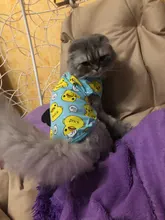 Ropa con estampado de patos para perros pequeños, Camiseta de algodón para cachorros y gatos, chaleco, camisas con perro Chihuahua