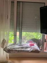 Cama que cuelga de la ventana para mascotas, 20kg, hamaca para gato y mascota, asiento tipo estante