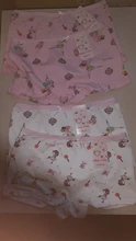 Lote de 4 Uds. De ropa interior para niños, bragas de algodón para niñas, pantalones cortos con diseños de dibujos animados de 2 a 10 años, ZL15