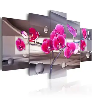 

Picture-orchid on a dim background