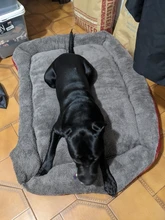 Dogs-Bed Sofa-House Big-Basket Small Large Waterproof Cat Bed Soft-Fleece for Medium