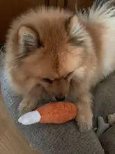 Dog-Toys Pet-Supplies Plush Small Dogs Puppy-Training-Toys Bite-Resistant Chew Cute Cartoon