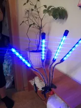 LED Grow Light USB Phyto Lamp Full Spectrum Grow Tent Complete Kit Phytolamp for Plants