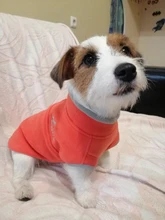 Coat-Jackets Fleece Vest Pug-Costumes Dogs French-Bulldog Chihuahua Winter Small Medium