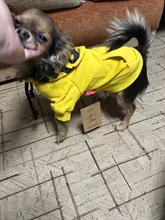 Dog Hoodies Jacket Costume Coat French Bulldog Chihuahua Winter for Pets-Clothing