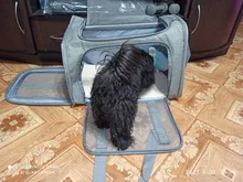 Dog-Carrier-Bag Travel-Bags Dog-Backpack Transport Soft-Side Airline-Approved Cats Small