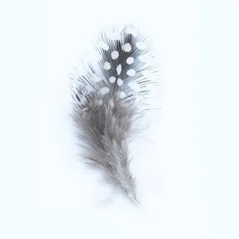 

Ht108a67 feather guinea fowl 5-7 cm, Astra (3GR/pack)