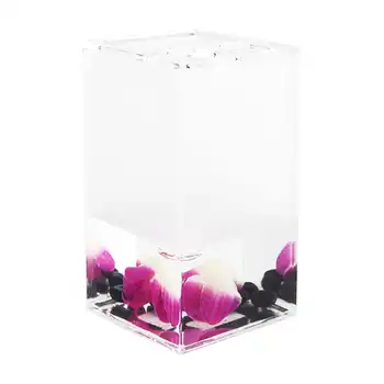 

Glass for toothbrushes desktop Verran "Phalaenopsis" acrylic color pink
