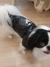 New Arrival Noble Pet Dogs Winter Vest Coat Fur Collar Russia Classic Dogs Clothing Soft