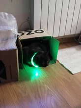 Collares de luz LED para perros de compañía, collares luminosos recargables y parpadeantes para perros de noche, Collar luminoso USB, decoración para el cuello que brillan en la oscuridad