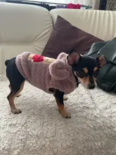 Puppy Clothing Dogs-Coat Dog-Costume French-Bulldog Pug Soft Winter Flannel for Bear-Ear