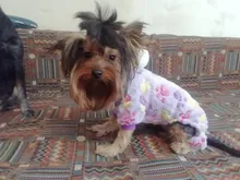 Soft Dog Pajams Fleece Dog Clothing For Dogs Jumpsuits Coat Warm Pet Dog Clothes For