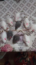 Ratón falso para gatos, juguetes para mascotas de pelo largo, con sonido sonajero, piel suave de conejo auténtico, juguete para gatos y perros, 5 uds.