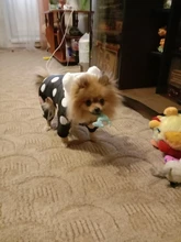 Dog Overalls Clothing Puppy Winter Coat Hoodie Pet-Dog Cotton Thicken Dot for Small Big-Polka-Dot