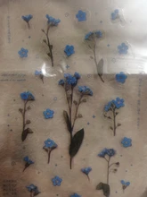 Mohamm 1 Uds serie plana de primavera a Flor pegatina decorativa mascota creativa Colegio estacionario tela suministros
