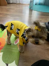 Cute Print Small Dog Hoodie Coat Winter Warm Pet Clothes for Chihuahua Shih Tzu Sweatshirt