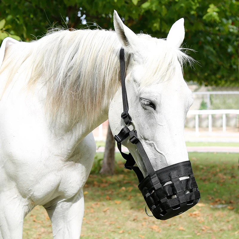 Cavpassion-Horse Grazing Muzzle with Halter, Equestrian Equipment, Easy Breathe, Comfortable, 8216012 2