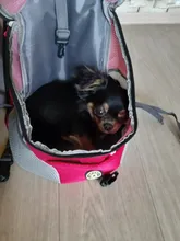Al aire libre viajes de mascotas de doble bolsa de hombro portátil de viaje mochila al aire libre bolsa de transporte perro mascota frente perro bolsa de malla de mochila de la cabeza